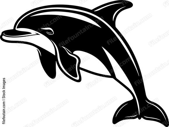 Dolphinspng