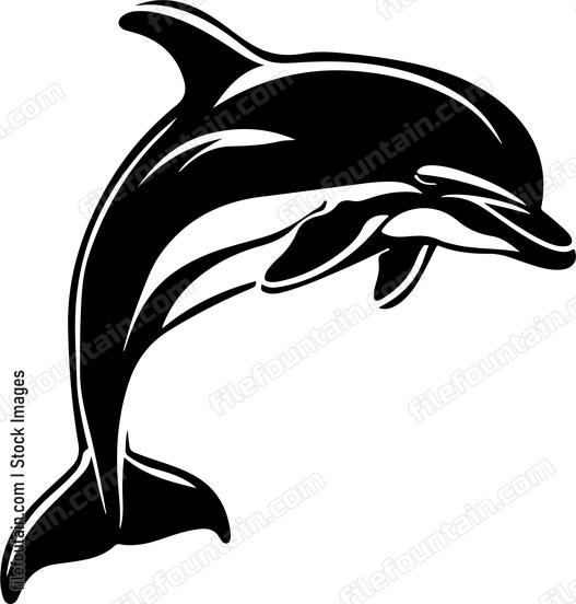 Dolphinspng