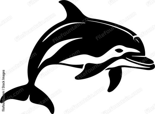 Dolphinspng