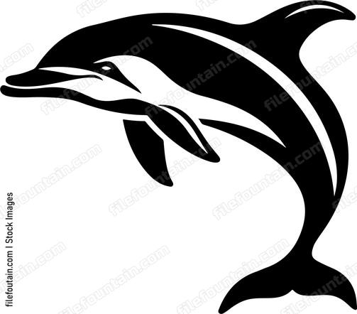 Dolphinspng