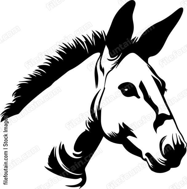 Donkey