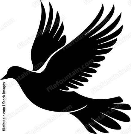 Dove