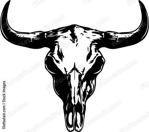 drawing of steer skull