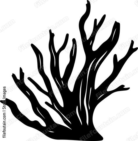 Driftwood