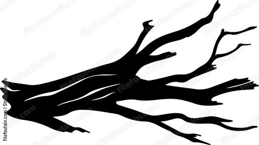 Driftwood