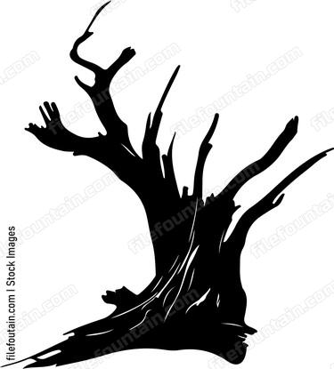 Driftwood