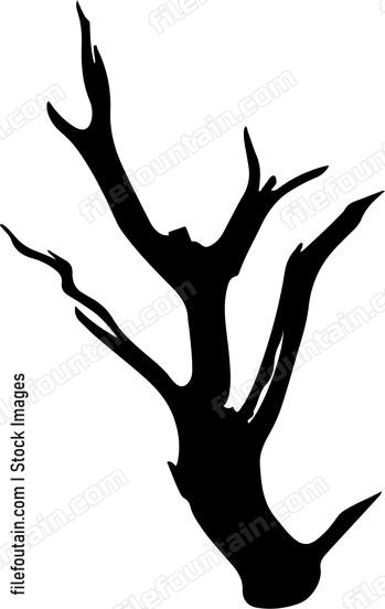 Driftwood