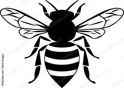 Drone Bee