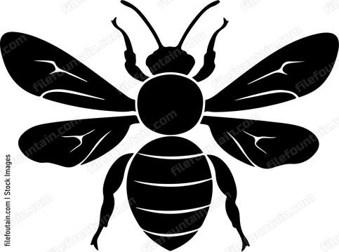 Drone Bee