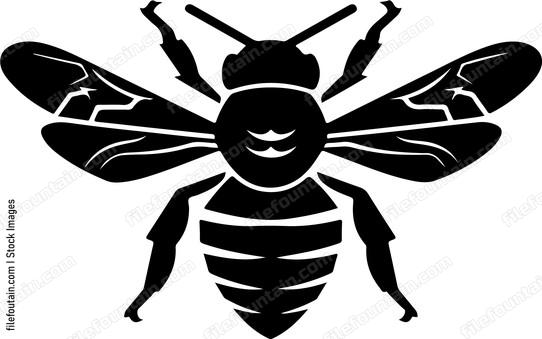 Drone Bee
