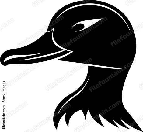 Duck Head Side