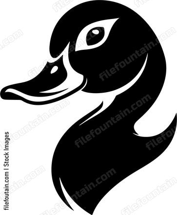 Duck Head Side