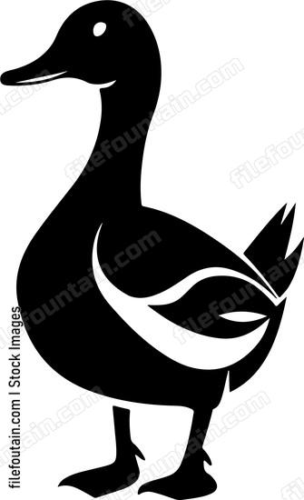 Duck Standing Side