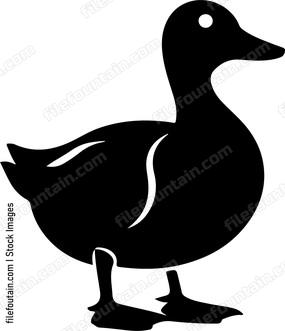 Duck Standing Side