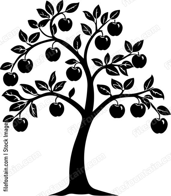 Dwarf Apple Tree