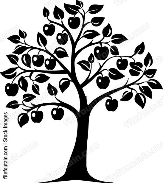 Dwarf Apple Tree