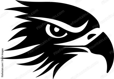 Eagle Eye