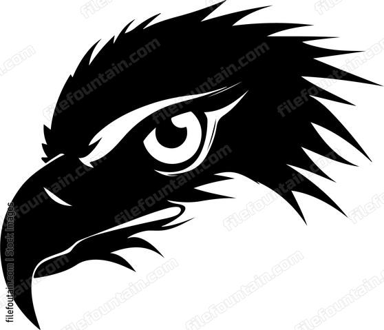 Eagle Eye