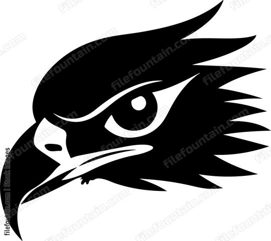 Eagle Eye