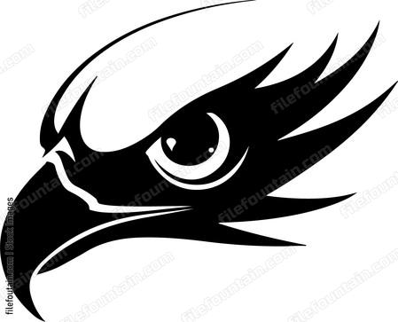 Eagle Eye