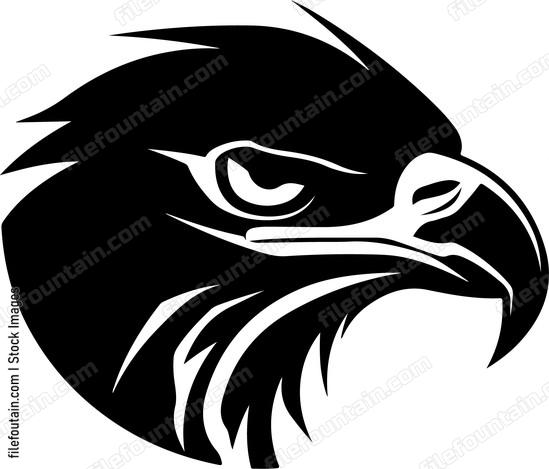 Eagle Eye