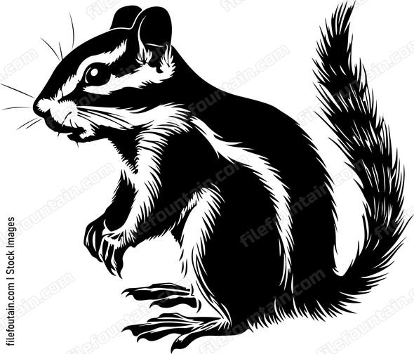 Eastern Chipmunk