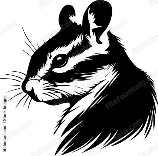 Eastern Chipmunk