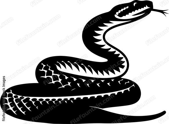 Eastern Diamondback Rattlesnake