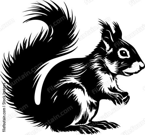 Eastern Gray Squirrel