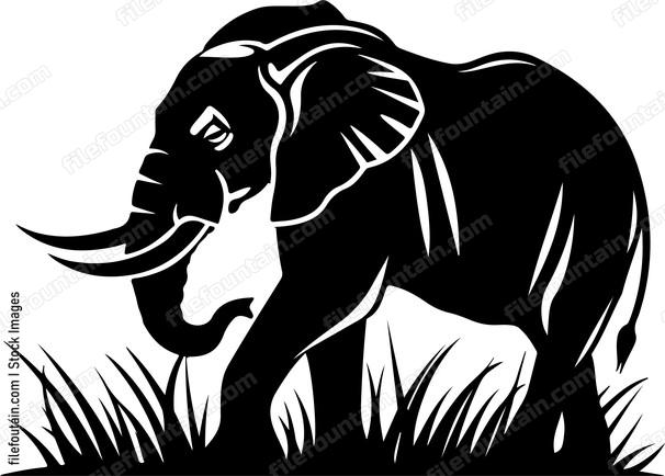 Elephant Eating Grass