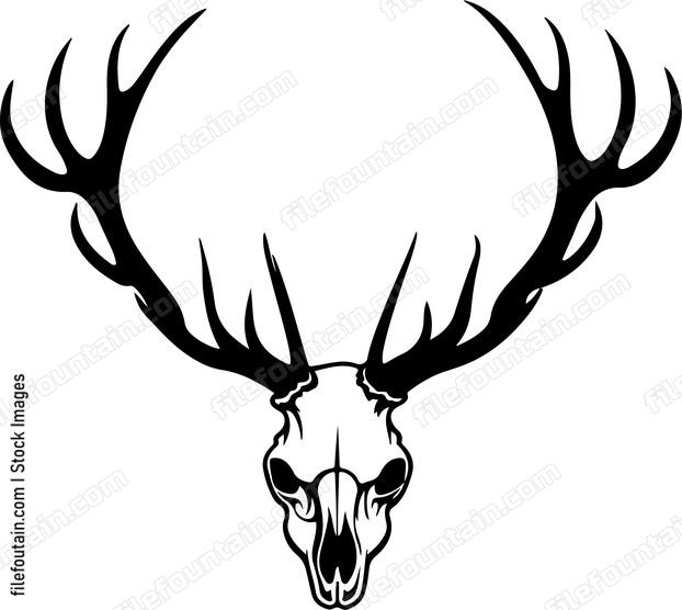 Elk Skull