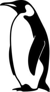 Emperor Penguin