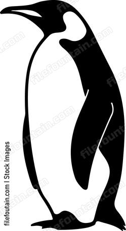 Emperor Penguin