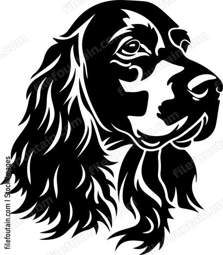 English Cocker Spaniel