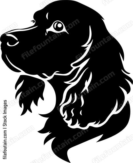 English Cocker Spaniel