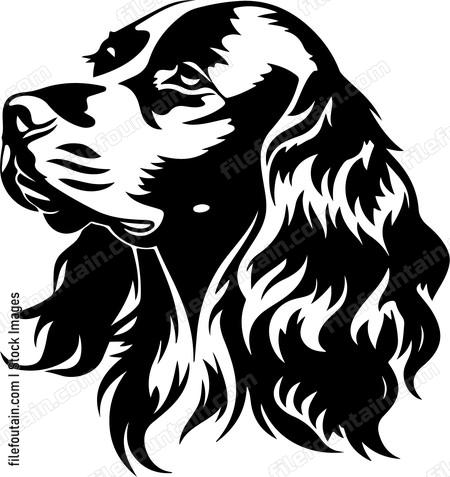 English Cocker Spaniel