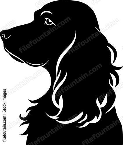 English Cocker Spaniel