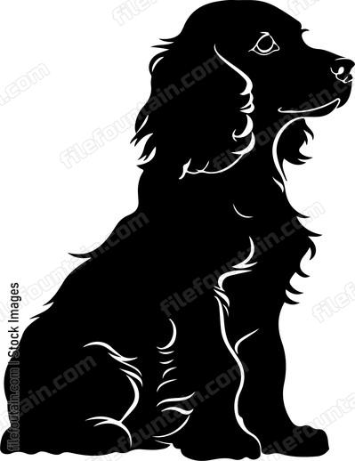 English Cocker Spaniel