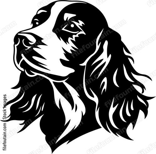 English Cocker Spaniel