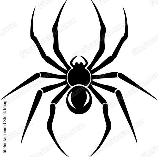 European Garden Spider