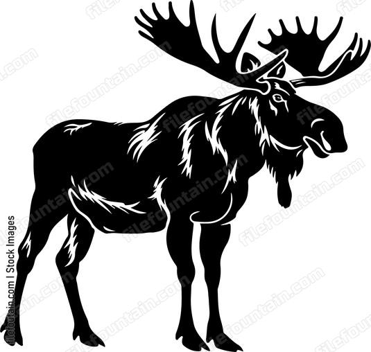 European Moose