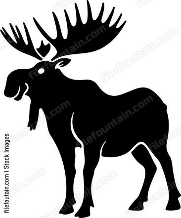European Moose