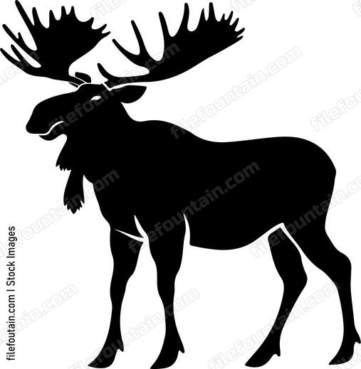 European Moose