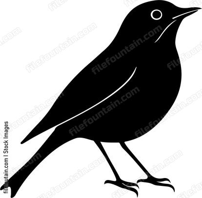 European Robin Bird