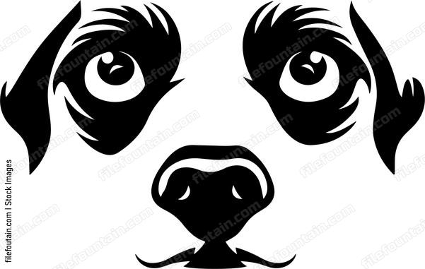 Eyes Of A Dog