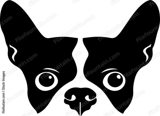 Eyes Of A Dog