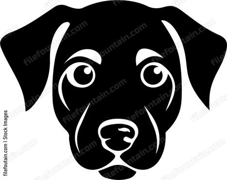 Eyes Of A Dog