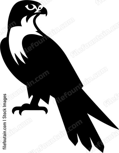 Falcon