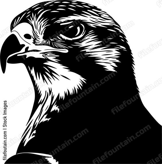 Falcon