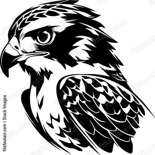 falcon